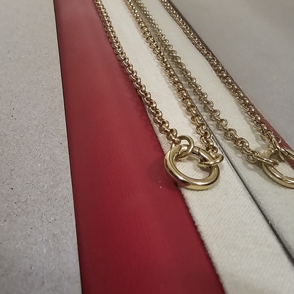 Rolo Chain Charm Necklace (20inches) - Picture 9 of 10